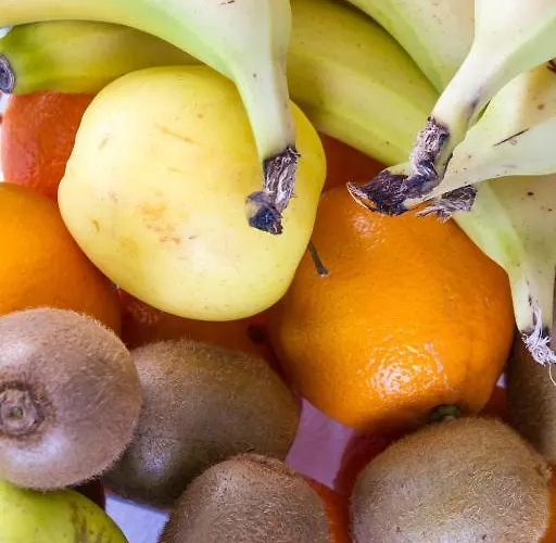 Hotel Hotel L'Ideal Le Mountbatten